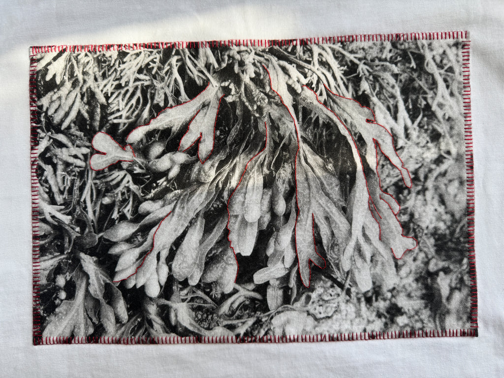 White oversize cotton tshirt with katagami embrodied photography of algues